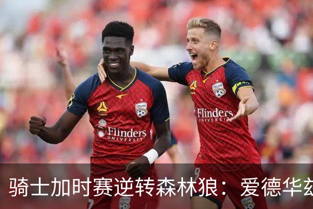 骑士加时赛逆转森林狼：爱德华兹独揽47分，哈登关键罚球锁定胜局